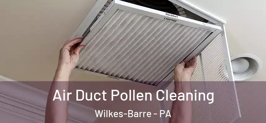 Air Duct Pollen Cleaning Wilkes-Barre - PA