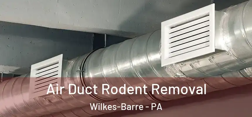 Air Duct Rodent Removal Wilkes-Barre - PA
