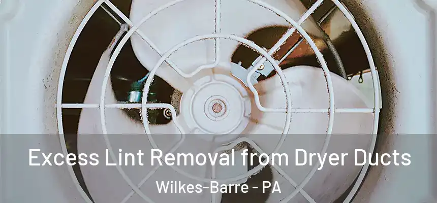  Excess Lint Removal from Dryer Ducts Wilkes-Barre - PA