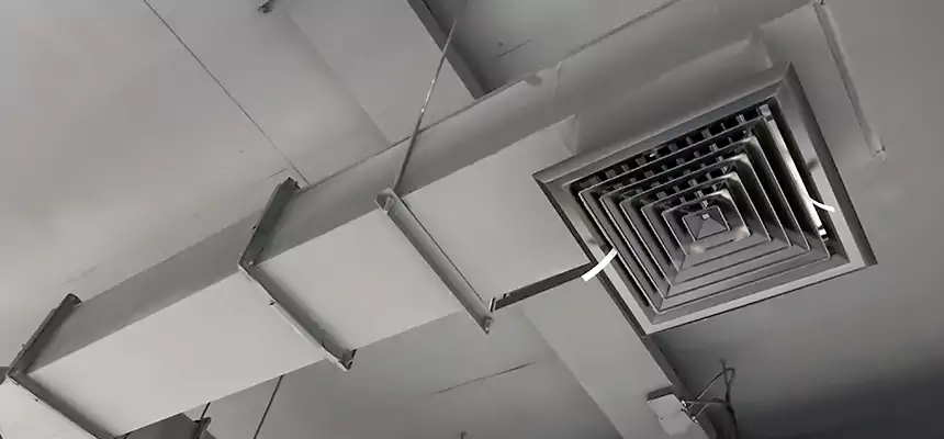 Our Rodent Droppings In Vents Services in Wilkes-Barre, PA