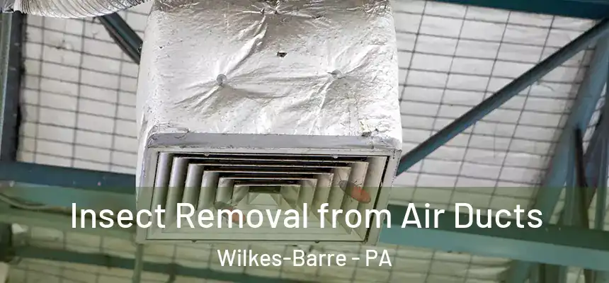 Insect Removal from Air Ducts Wilkes-Barre - PA