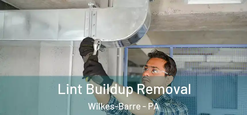  Lint Buildup Removal Wilkes-Barre - PA