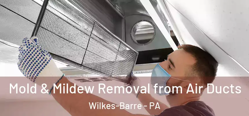  Mold & Mildew Removal from Air Ducts Wilkes-Barre - PA