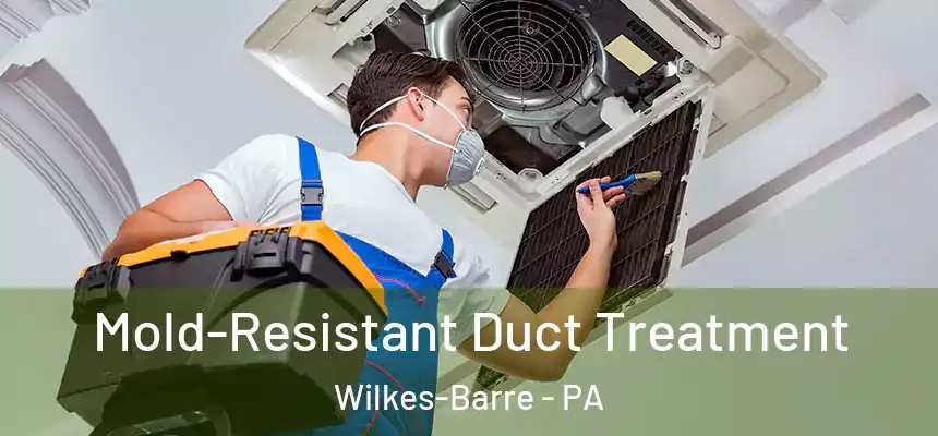  Mold-Resistant Duct Treatment Wilkes-Barre - PA