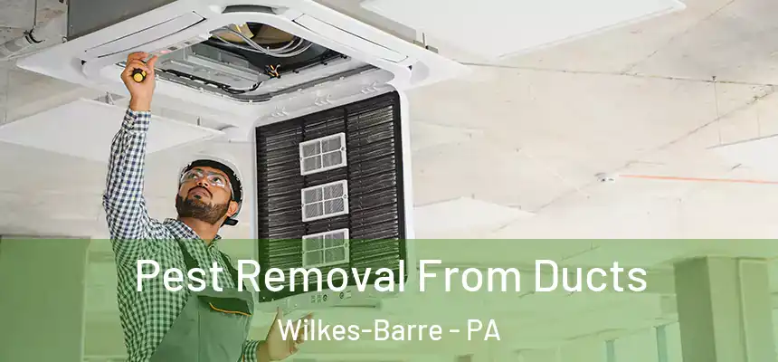  Pest Removal From Ducts Wilkes-Barre - PA