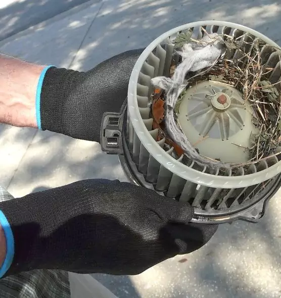 About Air Duct Mice Removal in Wilkes-Barre, PA