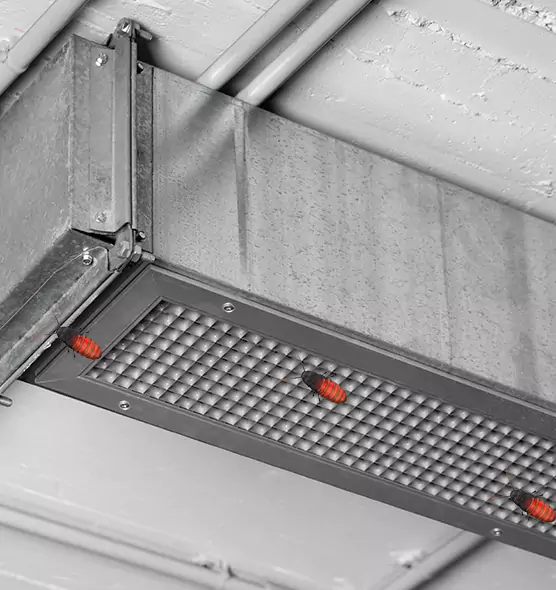 Affordable Insect Removal from Air Ducts in Wilkes-Barre, PA