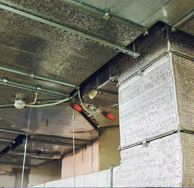 Why Homeowners & Businesses Trust Us Wilkes-Barre, PA?