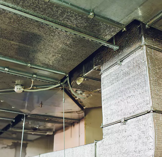 Why Homeowners & Businesses Trust Us in Wilkes-Barre, PA?